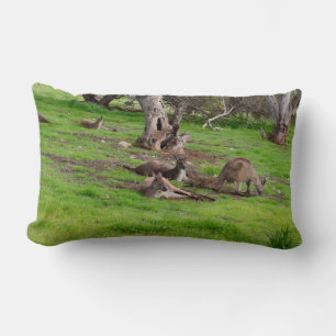 Kangaroo Siesta, Lumbar Cushion. Kussen