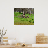 Kangaroo Siesta, Poster (Cuisine)