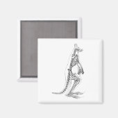 Kangaroo Skeleton Illustration - 1800's Magneet (Voorkant / Achterkant)