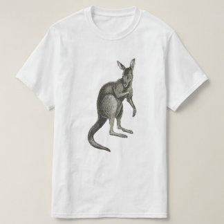 Kangaroo Sketch Design Graphic Tee Shirt