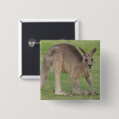 Kangaroo Square Pin Vierkante Button 5,1 Cm (Voorkant /achterkant)