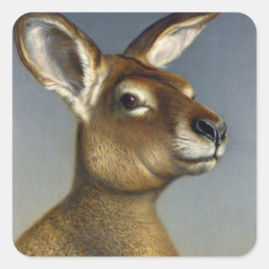 Kangaroo Square Sticker (Voorkant)