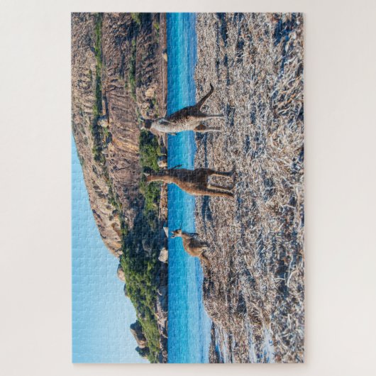 Kangaroo standoff op het strand, 1014 stukken legpuzzel (Verticaal)