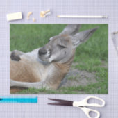 Kangaroo Tissuepapier (Craft)