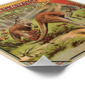 Kangaroo Tobacco 1900 Poster (Hoek)