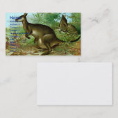 Kangaroo Visitekaartje (Voorkant / Achterkant)