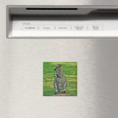 Kangaroos avec aimants feuille chênes (In Situ (Lave-vaisselle))