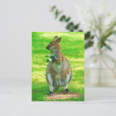 Kangaroos avec chênes carte postale Feuille (Debout devant)