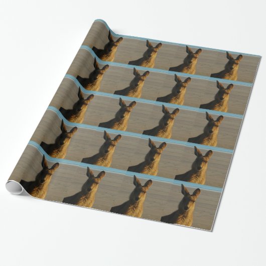 Kangaroos Cadeaupapier (Uitgerold)