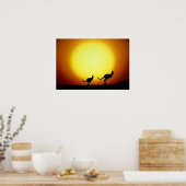 Kangaroos in de Australische Outback Poster (Keuken)