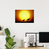 Kangaroos in de Australische Outback Poster (Thuiskantoor)