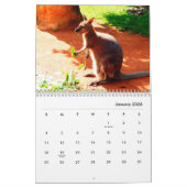 Kangaroos Wall Calendar Kalender (Jan 2026)