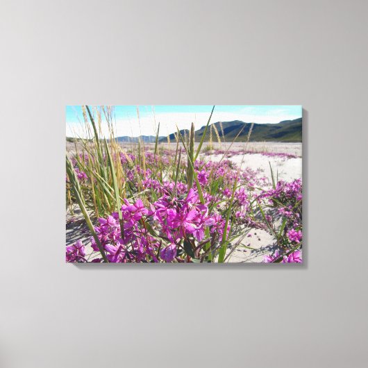 Kangerlussuaq Groenland Canvas Afdruk (Voorkant)