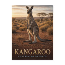 Kangoeroe Australisch Outback Wildlife DIER