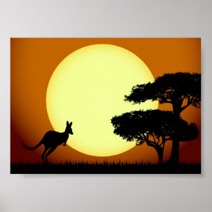 Kangoeroe bij zonsondergang poster