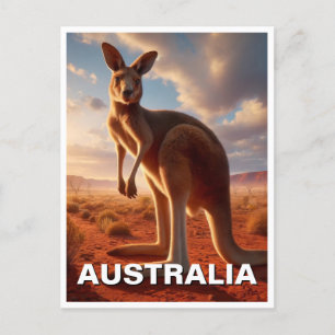 Kangoeroe in de Outback Australië Briefkaart