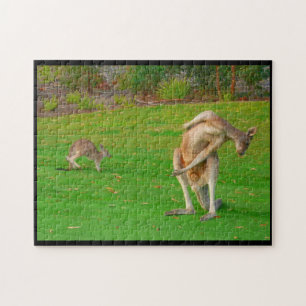 kangoeroe rekken legpuzzel