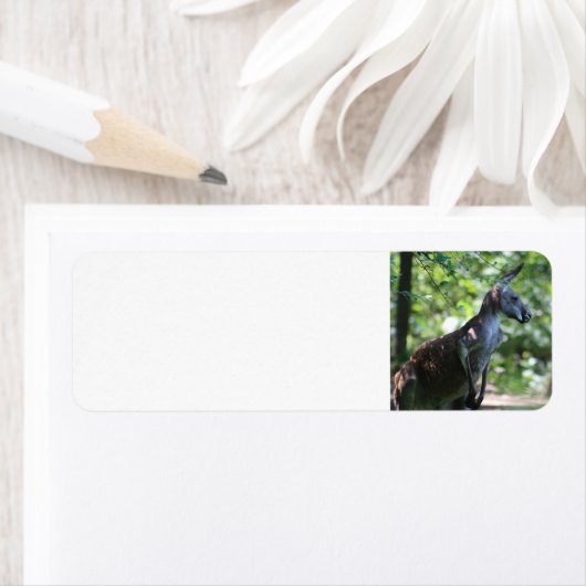 Kangoeroe retouradreslabel etiket (Insitu)