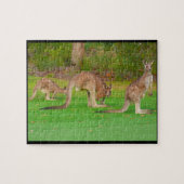 kangoeroes legpuzzel (Horizontaal)