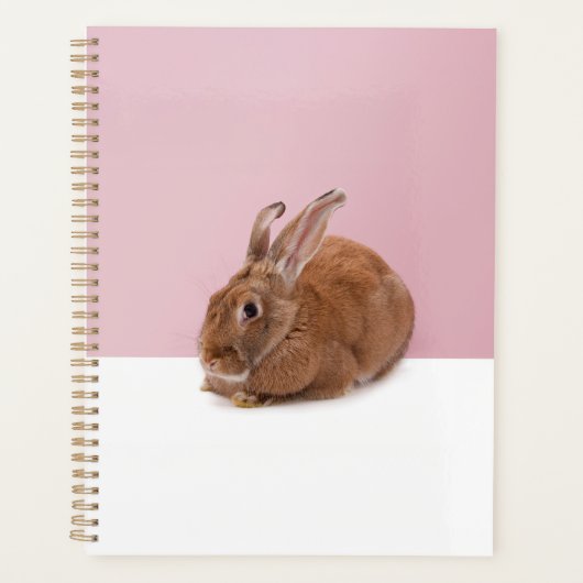 Kaninchen Planner (Voorkant)