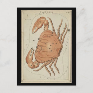 Kanker van de krab briefkaart