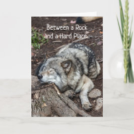 Kanker Voelt Als Tussen Een Steen & Een Harde Plaa Kaart