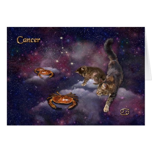 Kanker voor kattendeksels (Voorkant Horizontaal)