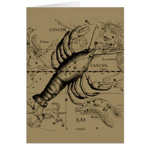 Kanker Zodiac Constellation door Hevelius 1690