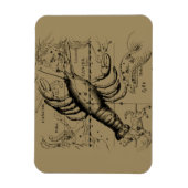 Kanker Zodiac Constellation door Hevelius 1690 Magneet (Verticaal)