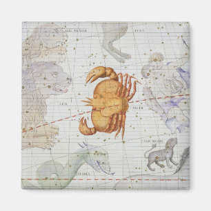 Kankerconstellatie, bord 4 van "Atlas Coele" Magneet
