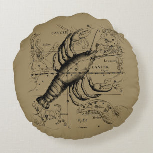 Kankerconstellatie door Hevelius circa 1690 Rond Kussen