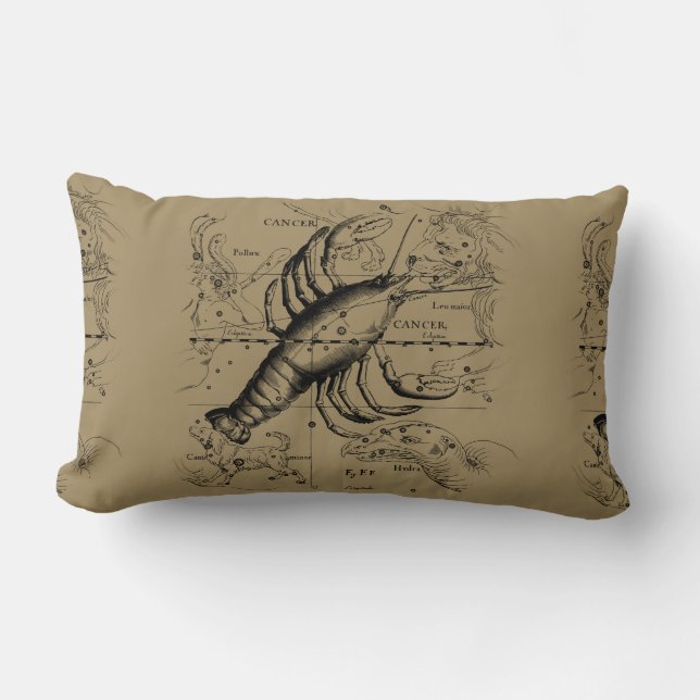  kankerconstellatiekaart Hevelius 1690 Kussen (Voorkant)