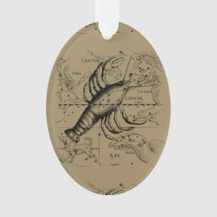  kankerconstellatiekaart Hevelius 1690 Ornament