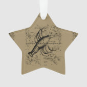  kankerconstellatiekaart Hevelius 1690 Ornament (voorkant)