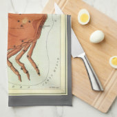 Kankerkrab  Constellatie, Urania's Mirror Theedoek (Quarter Fold)