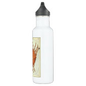 Kankerkrab  Constellatie, Urania's Mirror Waterfles (Rechts)