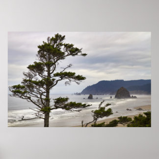 Kannon Beach Low Tide in Oregon Pacific Ocean Poster