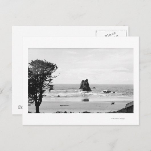 Kannonstrand, oregon scène met naalden briefkaart (Voorkant / Achterkant)