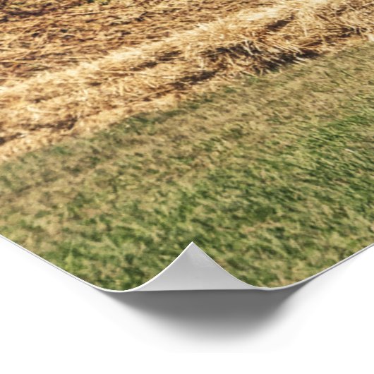 Kannonvuur Poster (Hoek)