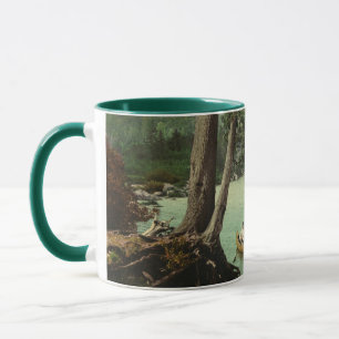 Kanoestellen op een Adirondack Mountain Stream Mok