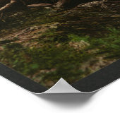 Kanoestellen op een Adirondack Mountain Stream Poster (Hoek)