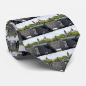 Kanonnen bij Castillo San Marcos Stropdas (Opgerold)