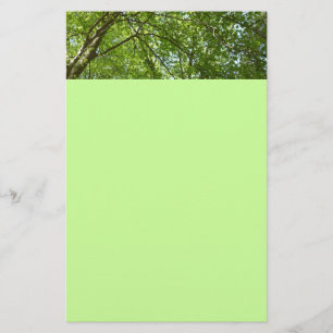 Kanopie van de groene Natuur van voorjaarsbladeren Briefpapier