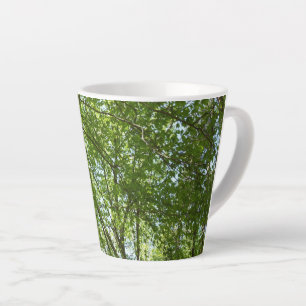 Kanopie van de groene Natuur van voorjaarsbladeren Latte Mok