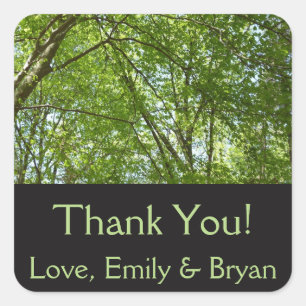 Kanopie van de groene Natuur van voorjaarsbladeren Vierkante Sticker