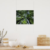 Kanopies van paardenbomen in de plaatselijke strui poster (Keuken)