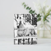 Kans Briefkaart (Staand voorkant)