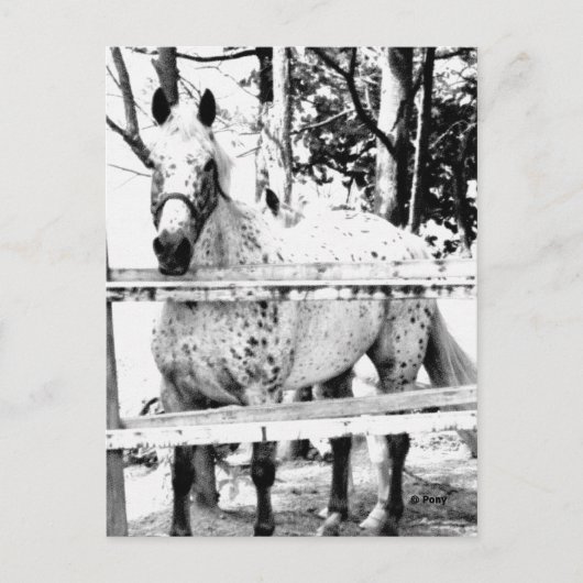 Kans Briefkaart (Voorkant)