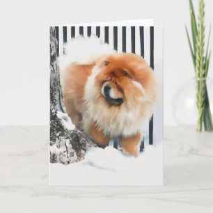 KANS IN het voer van de SNEEUW heARTdog Kaart