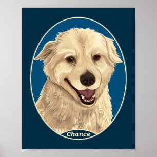 Kans Poster